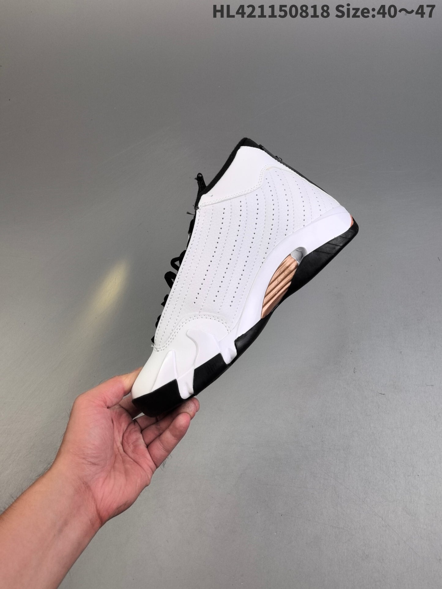Jordan 14 Retro | J14R301500804