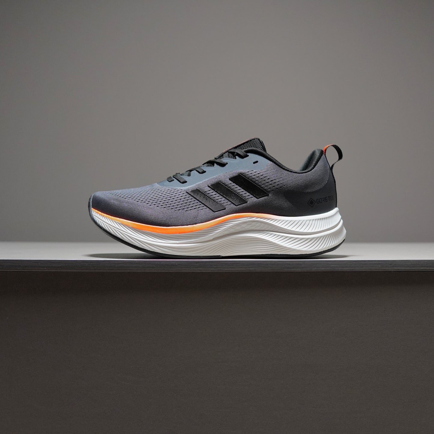 Adidas TERREX GORE-TEX | AT091400809