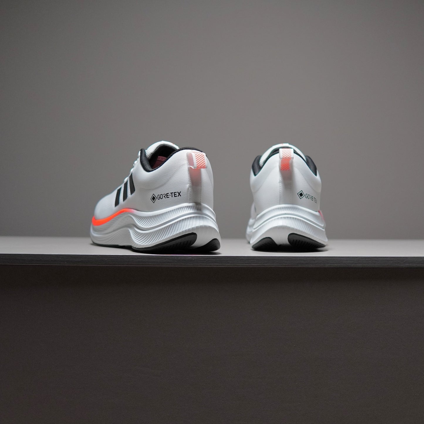 Adidas TERREX GORE-TEX | AT091400810