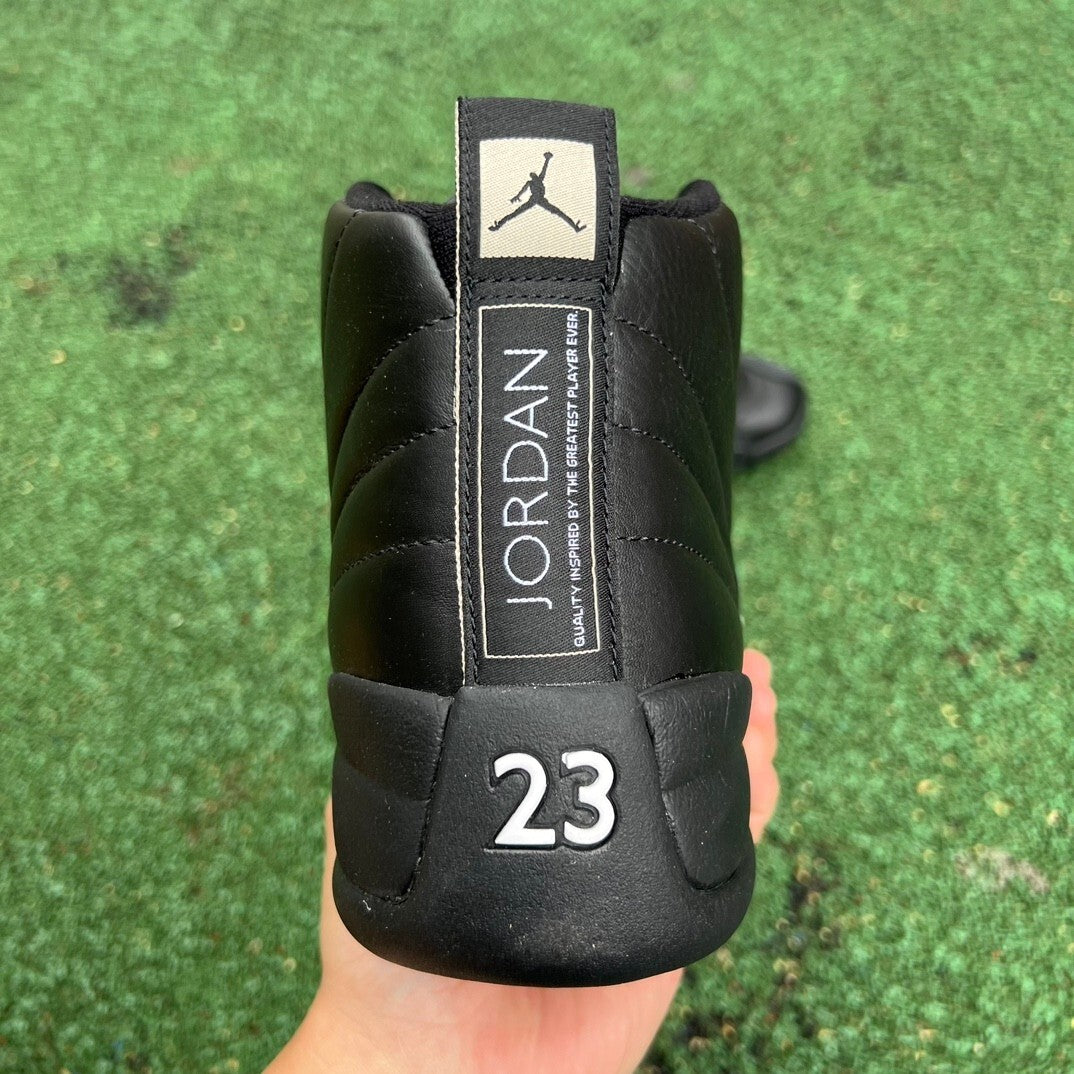 Jordan 12 Retro | J12R301500815