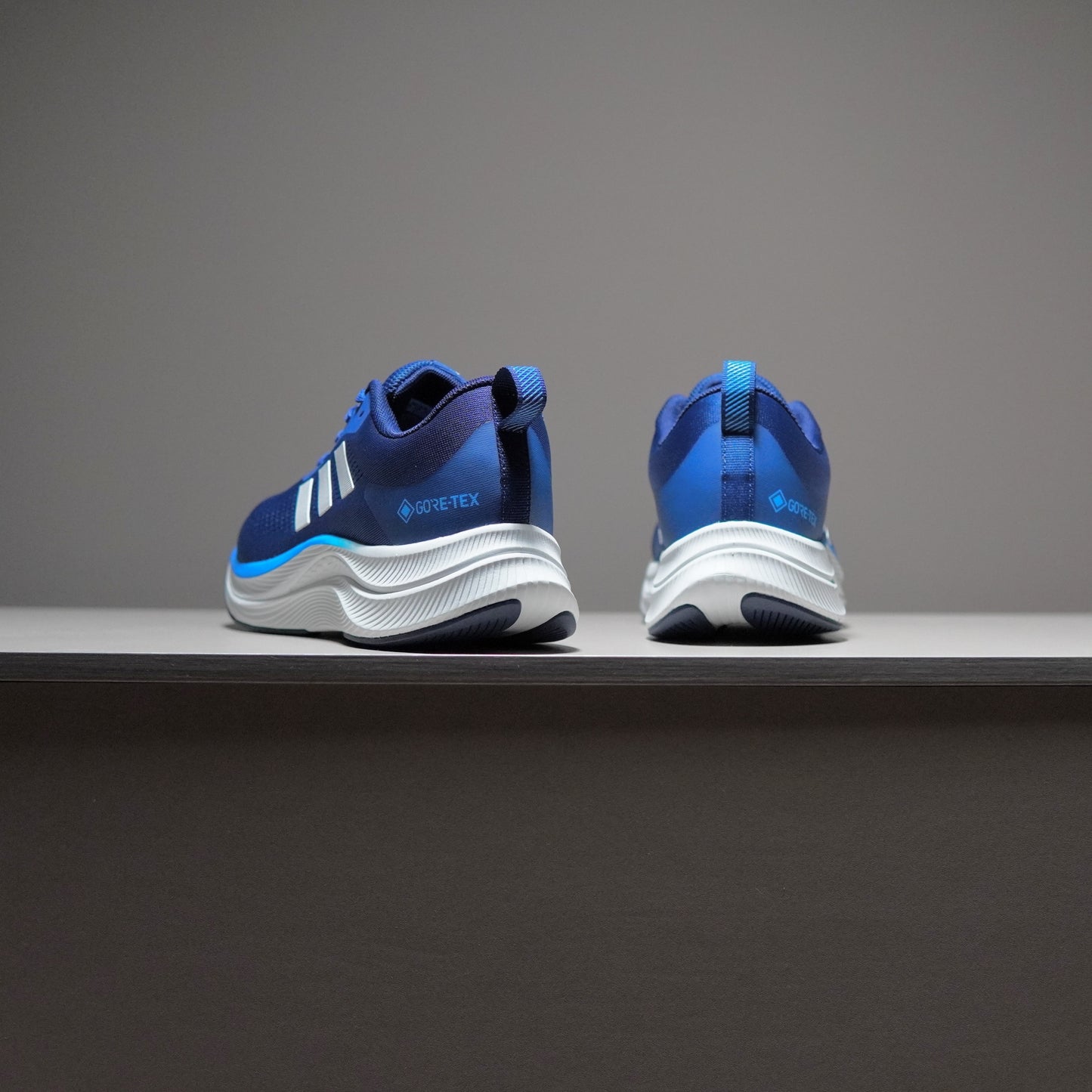 Adidas TERREX GORE-TEX | AT091400808