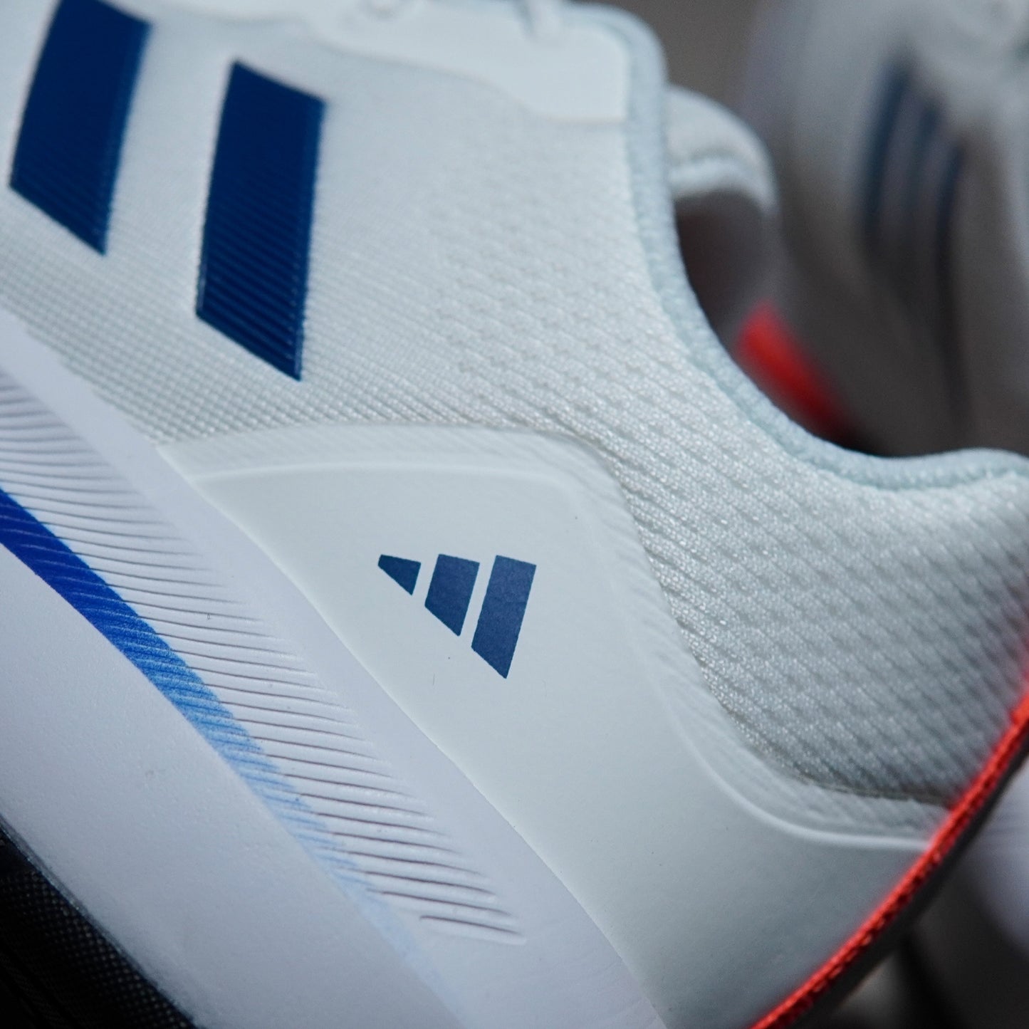 SUPERNOVA RISE | SNR15228601