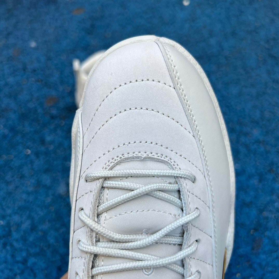 Jordan 12 Retro | J12R301500808