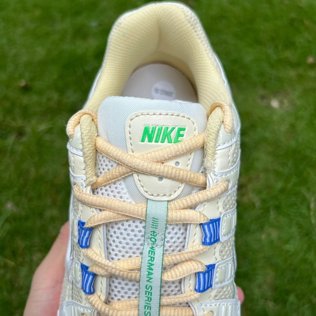 Nike P-6000 Premium | NP18P6000P25