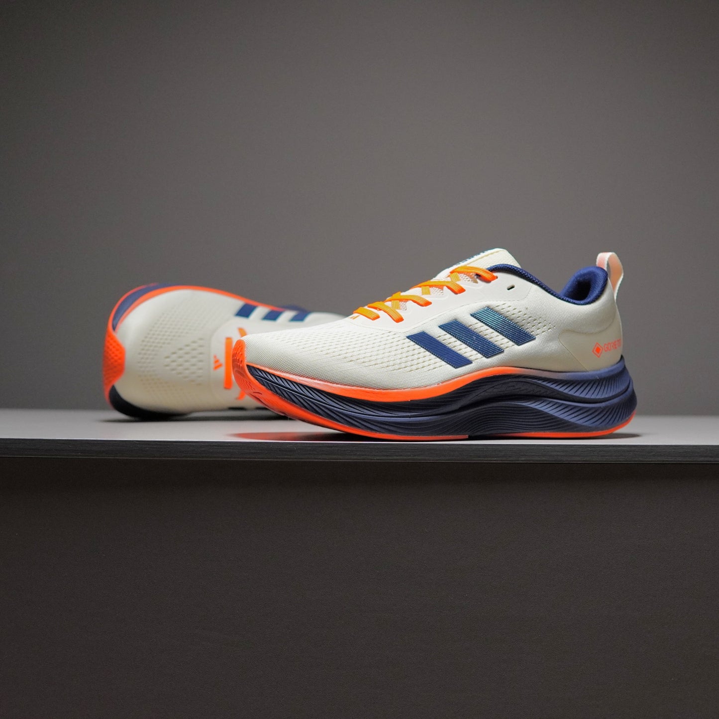 Adidas TERREX GORE-TEX | AT091400801