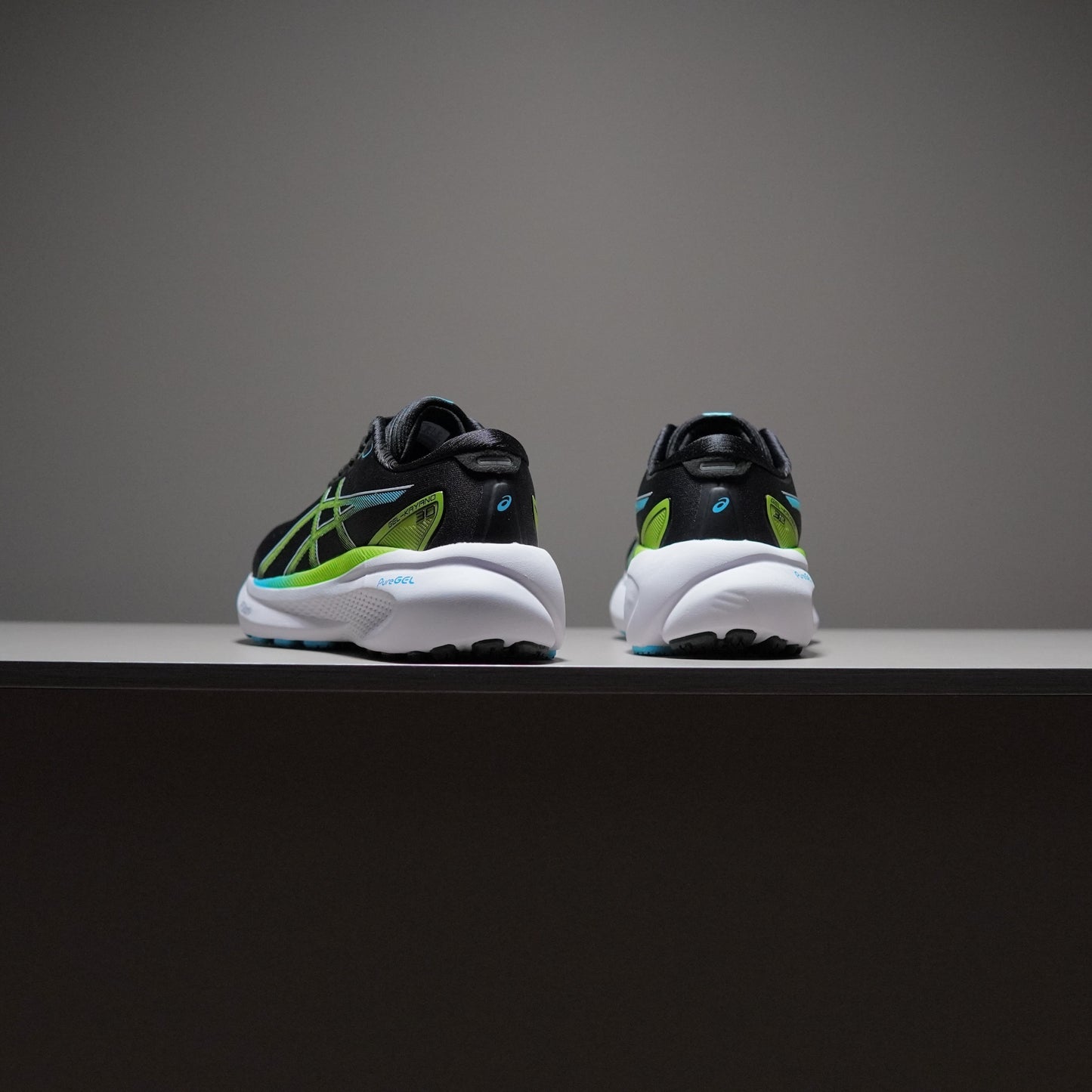 Asics Gel-Kayano 30 | AAD091400309