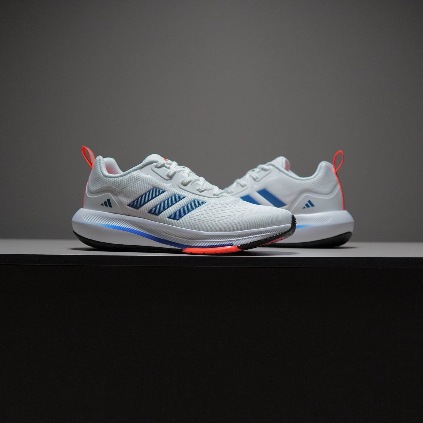 SUPERNOVA RISE | SNR15228601