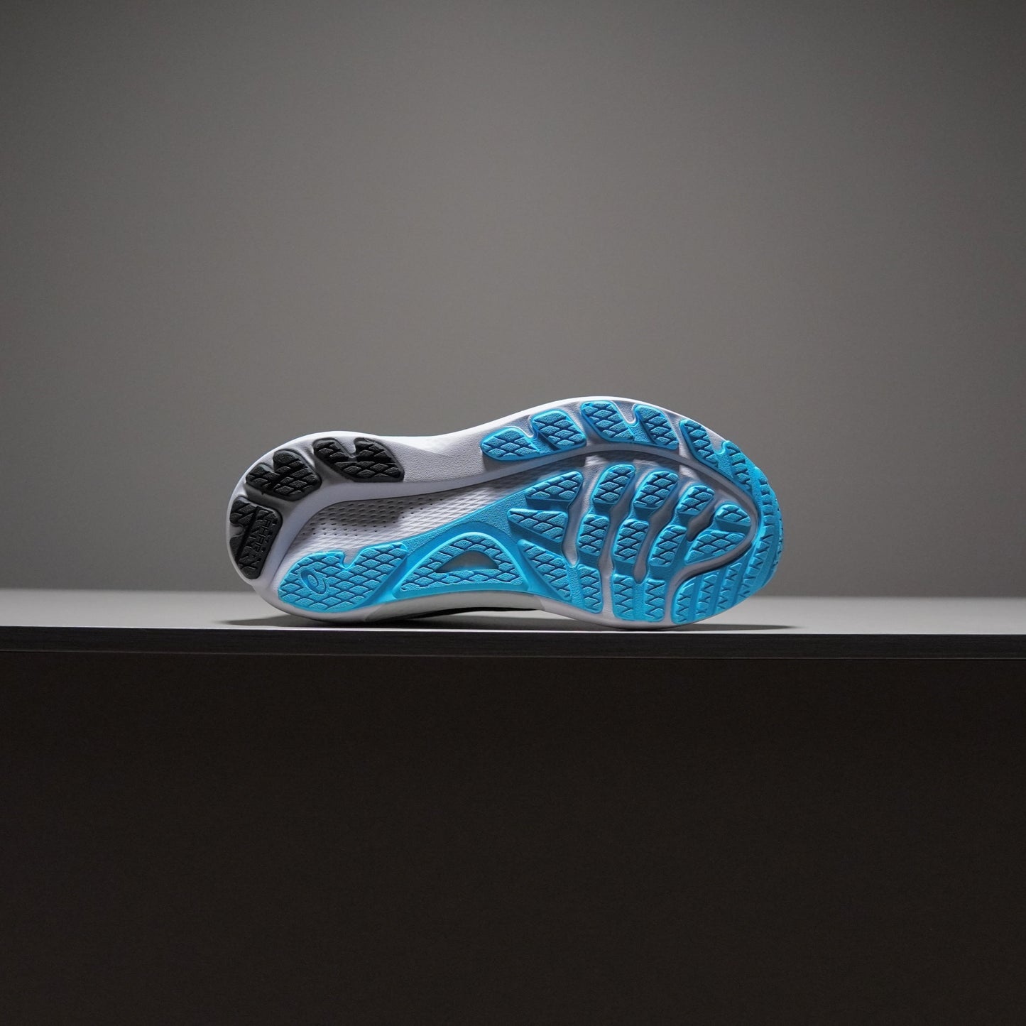 Asics Gel-Kayano 30 | AAD091400309