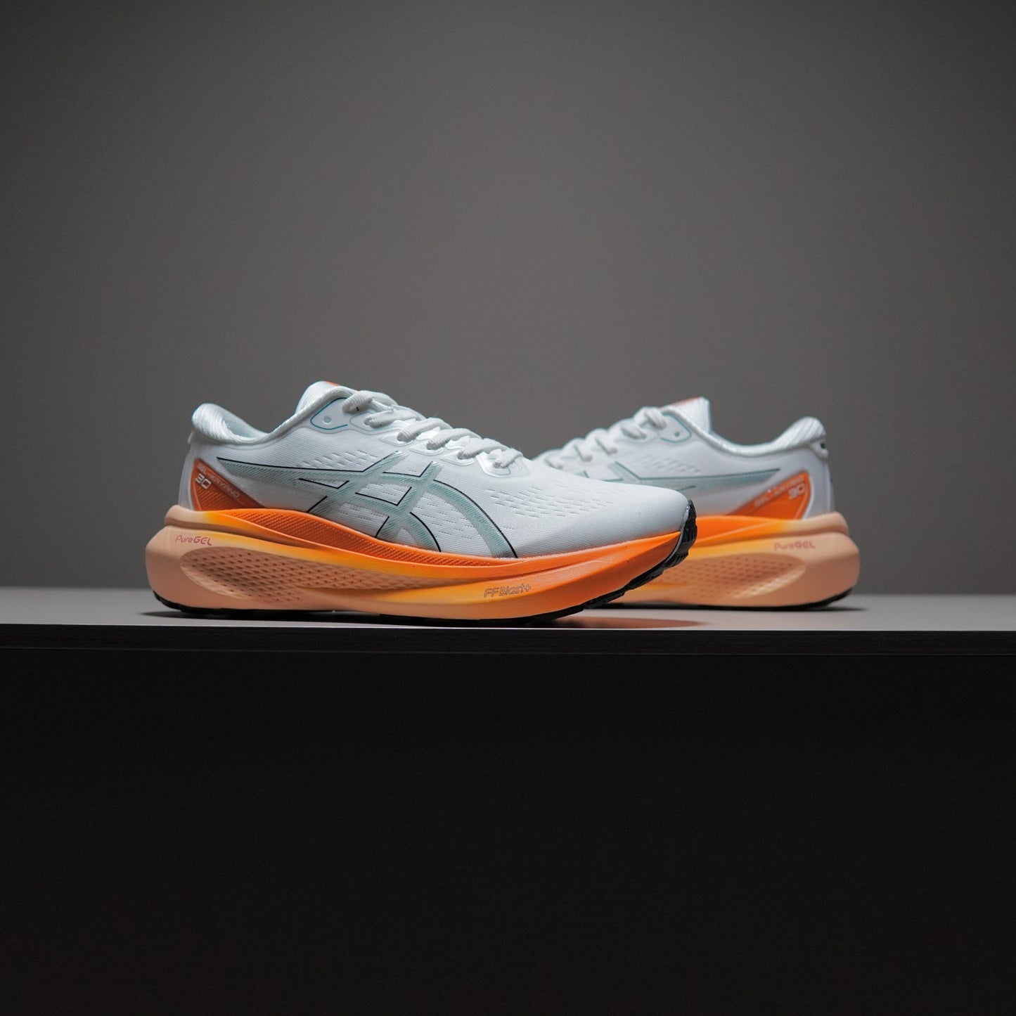 Asics Gel-Kayano 30 | AAD091400303