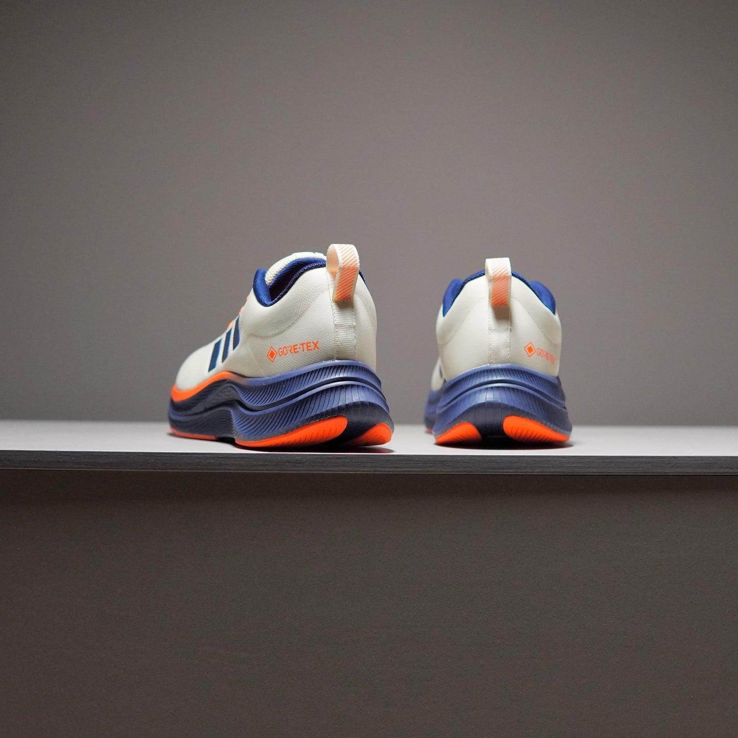 Adidas TERREX GORE-TEX | AT091400801