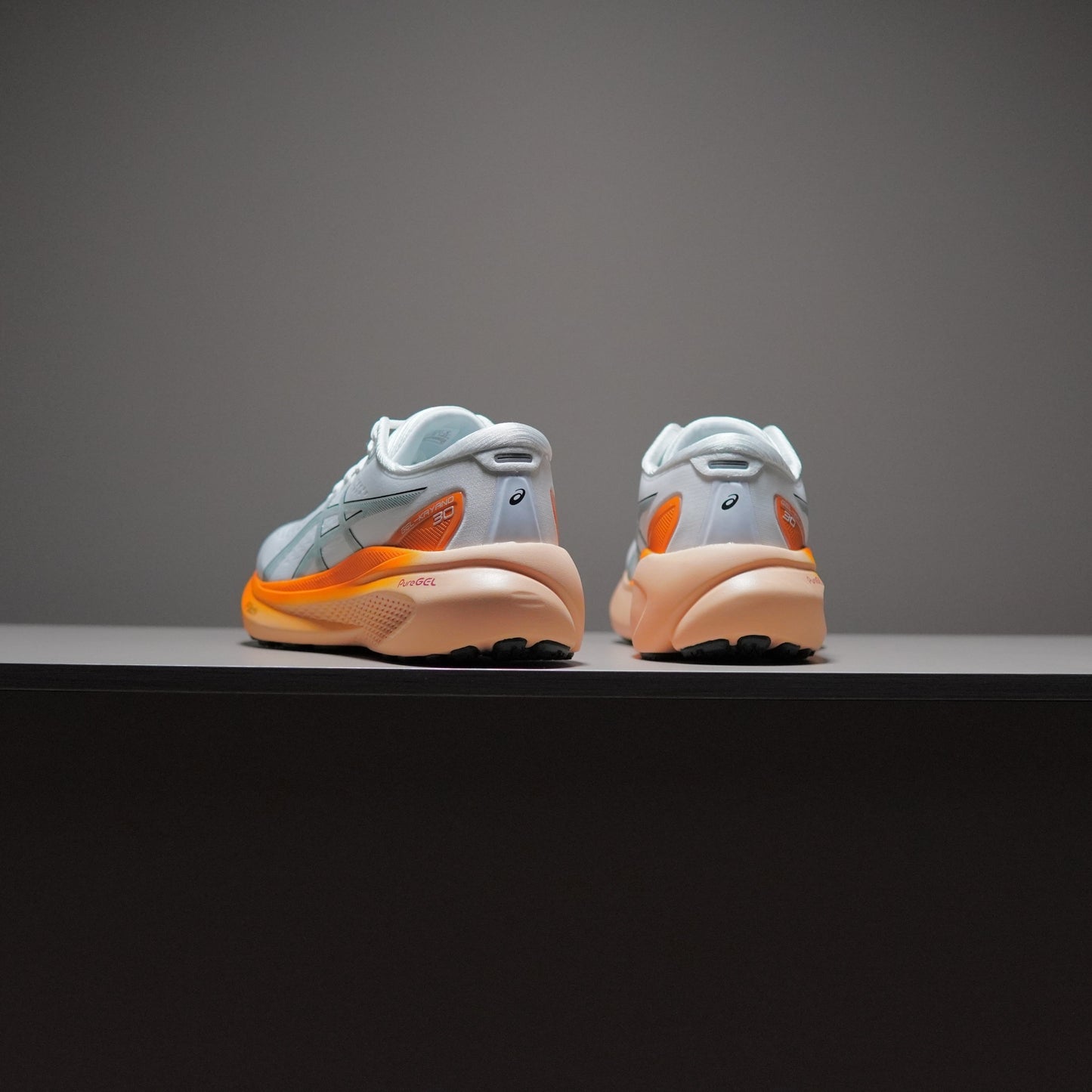 Asics Gel-Kayano 30 | AAD091400303