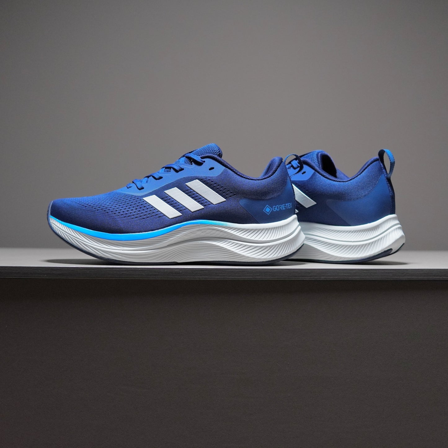 Adidas TERREX GORE-TEX | AT091400808