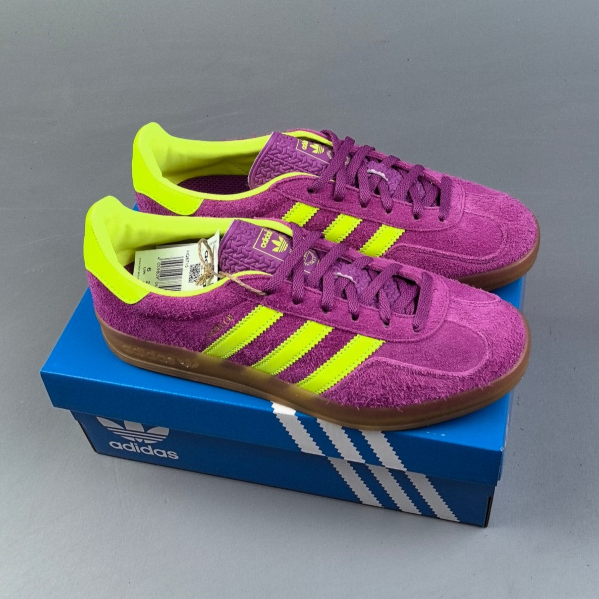 Adidas GAZELLE INDOOR │Purple/ Yellow HL031500714