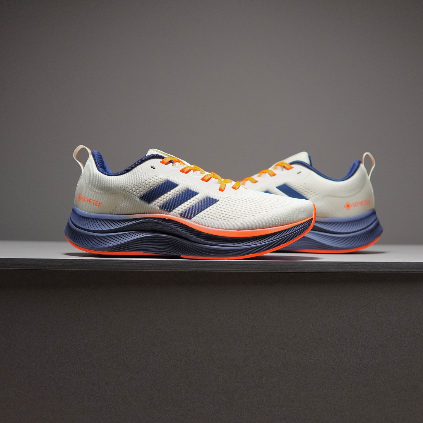 Adidas TERREX GORE-TEX | AT091400801